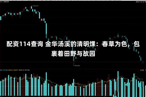 配资114查询 金华汤溪的清明馃：春草为色，包裹着田野与故园