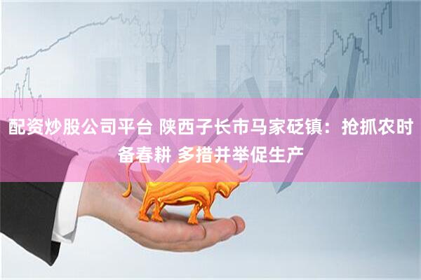 配资炒股公司平台 陕西子长市马家砭镇：抢抓农时备春耕 多措并举促生产